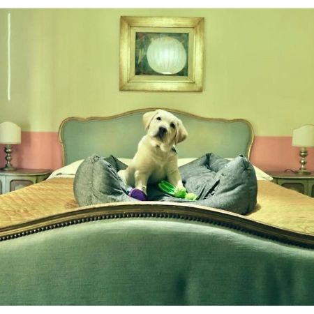 Bridge Hotel باني دي لوكا المظهر الخارجي الصورة
